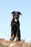 BEAUCERON 177